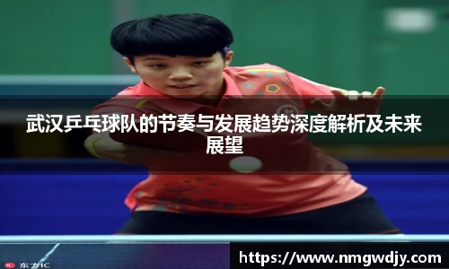 武汉乒乓球队的节奏与发展趋势深度解析及未来展望